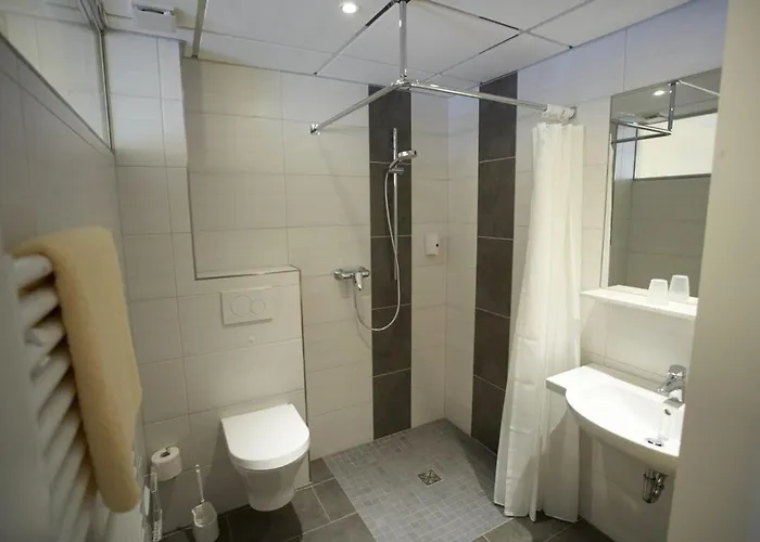 Landgasthof Fleischhauer 호텔 3*